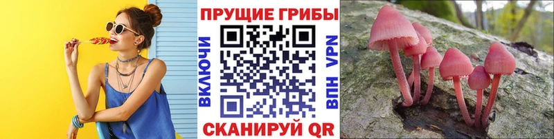 Купить закладки  Сим  Псилоцибиновые грибы мицелий 